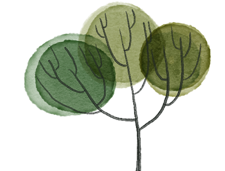 Illustration of a tree with three round, green watercolor-style canopies and thin black branches.